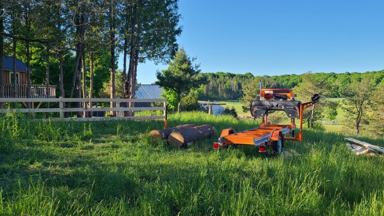 The Environmental Benefits of Portable Band Sawmills (HINT: They are, in fact, the forest’s friends!)